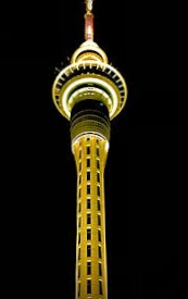 Info Grid Sky Tower